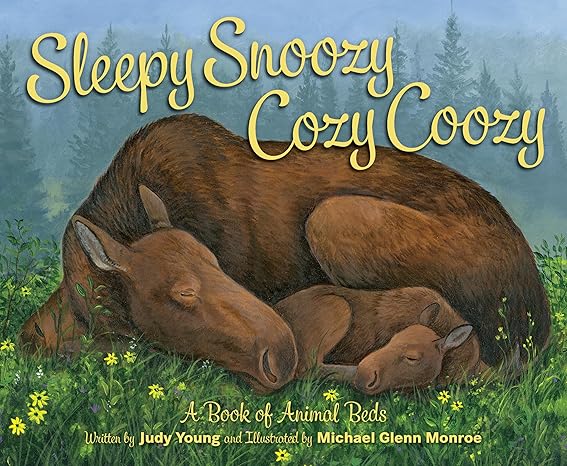 Judy Young Sleepy Snoozy Cozy Coozy